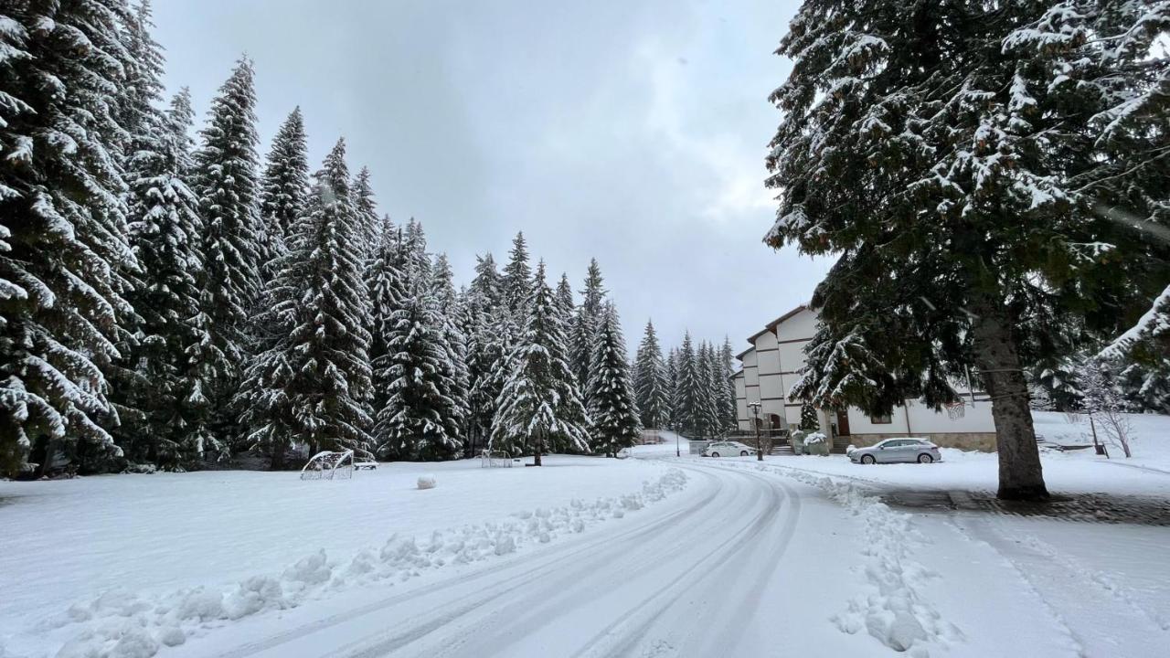 Апартамент Горска Приказка - Forest Tale Смолян Экстерьер фото